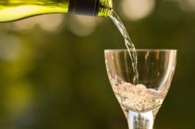 Weißwein - der Alleskönner in Schwetzingen zwischen Mannheim und Heidelberg Weinseminar in Schwetzingen zwischen Mannheim und Heidelberg: Weißwein